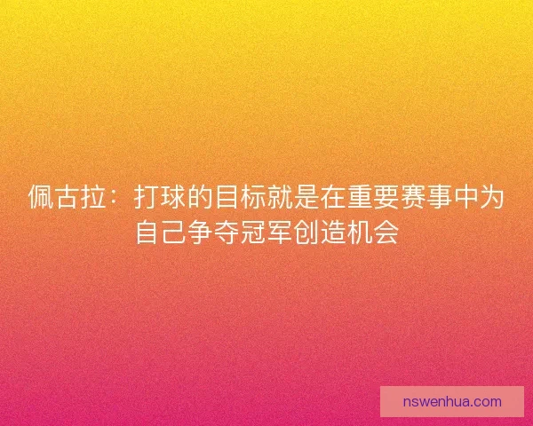 佩古拉：打球的目标就是在重要赛事中为自己争夺冠军创造机会